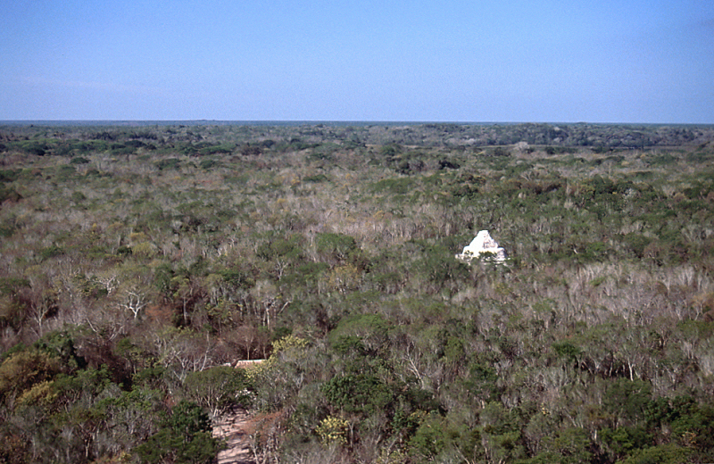 10_Quintana Roo landschap vanaf de pyramide van Coba.jpg